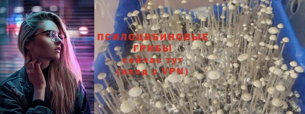 ПСИЛОЦИБИНОВЫЕ ГРИБЫ Богородицк